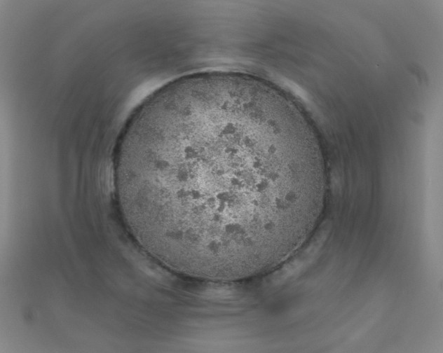 X0000110981267200907022048