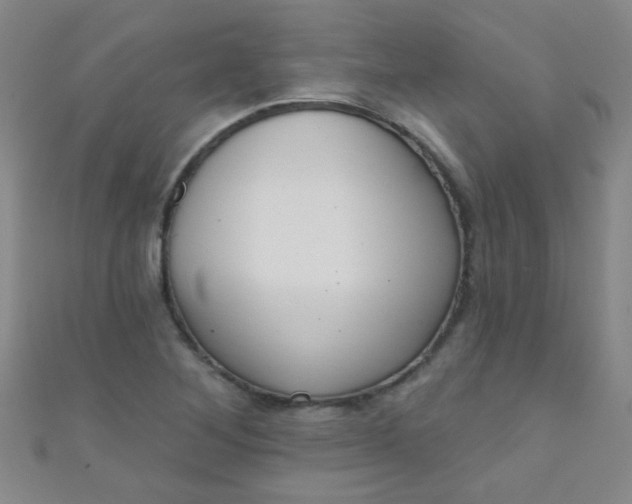 X0000110981268200907022048