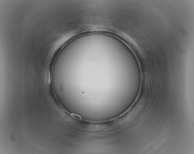 X0000110981269200907022048