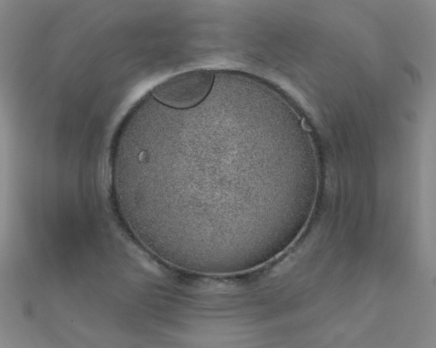 X0000110981270200907022048