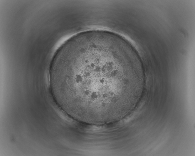 X0000110981271200907022048