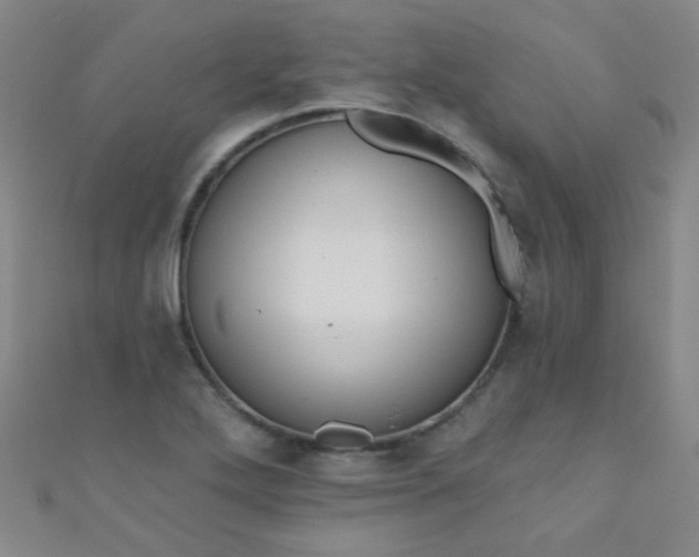 X0000110981272200907022048