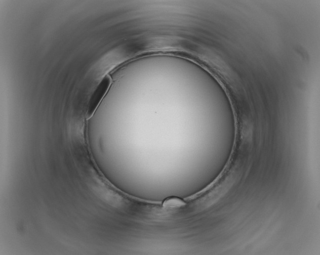 X0000110981273200907022048