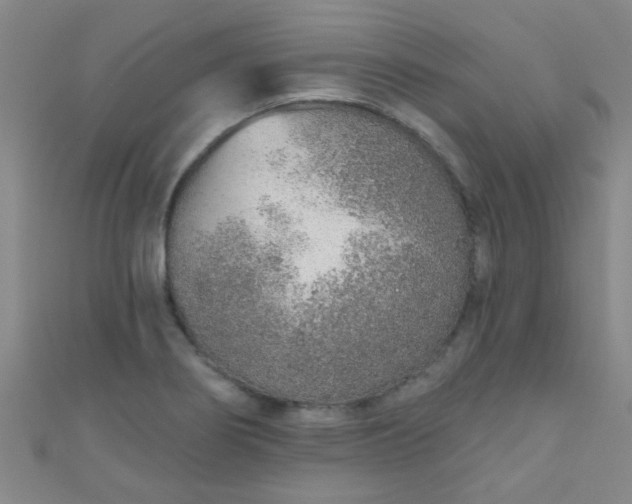 X0000110981274200907022048