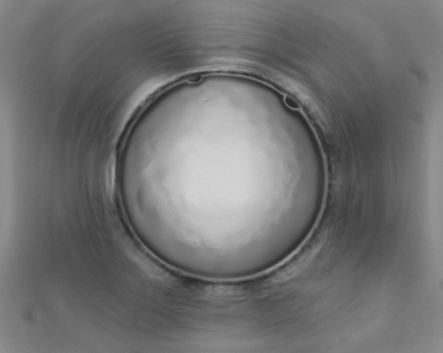 X0000110981275200907022048