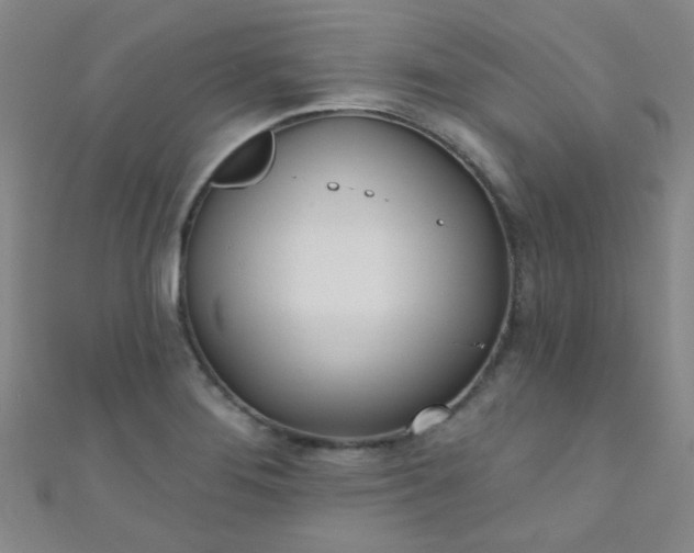 X0000110981276200907022048