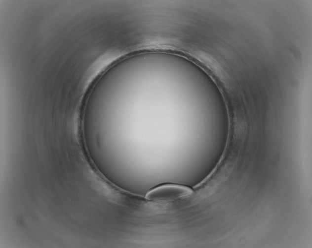 X0000110981277200907022048