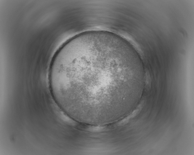 X0000110981278200907022048