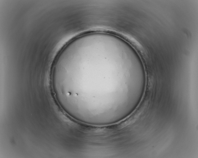 X0000110981279200907022048