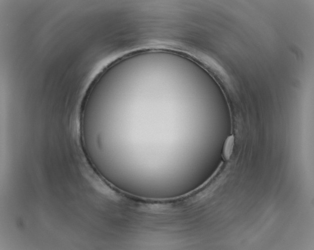 X0000110981280200907022048