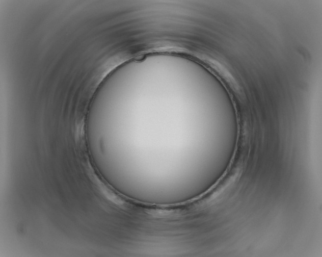 X0000110981281200907022048