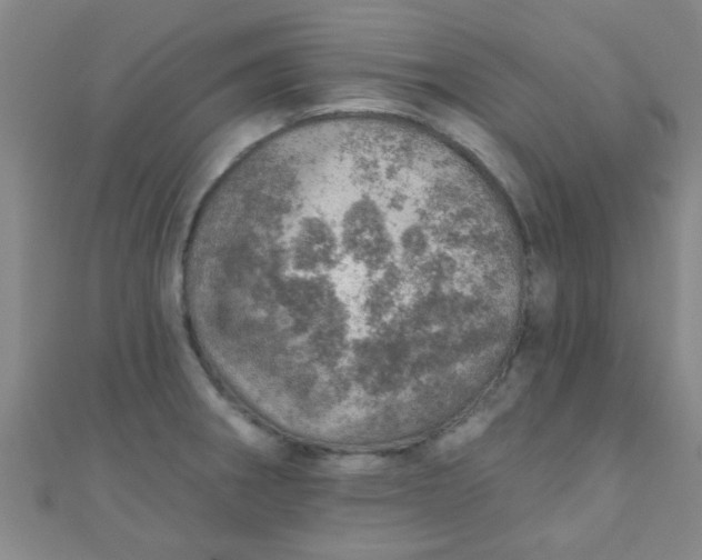 X0000110981282200907022048