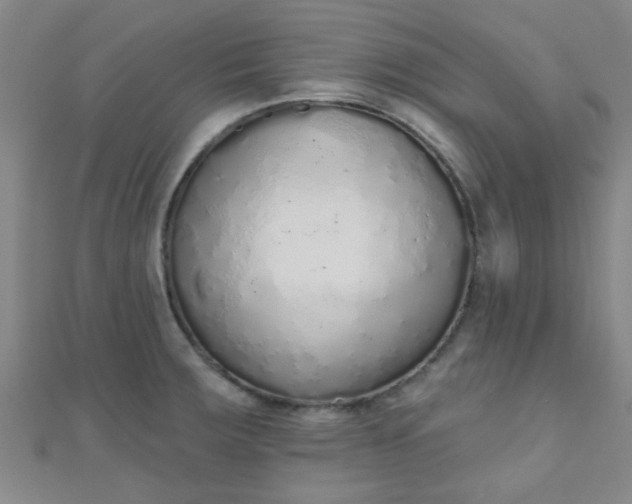 X0000110981283200907022048