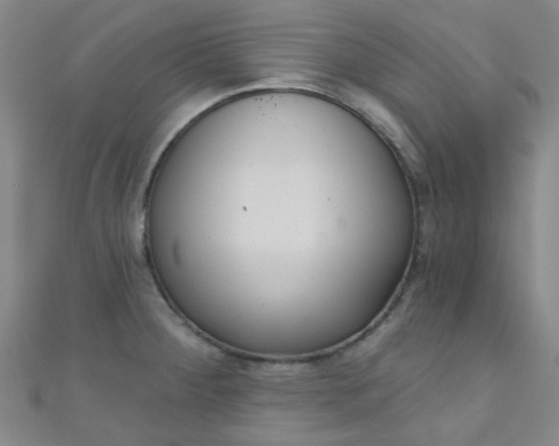 X0000110981284200907022048