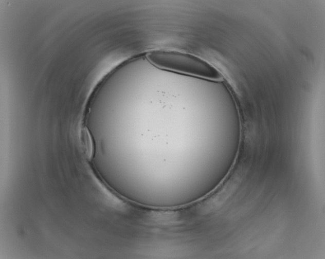 X0000110981285200907022048