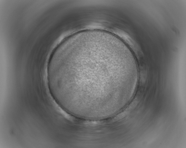 X0000110981286200907022048