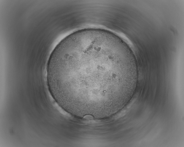 X0000110981287200907022048