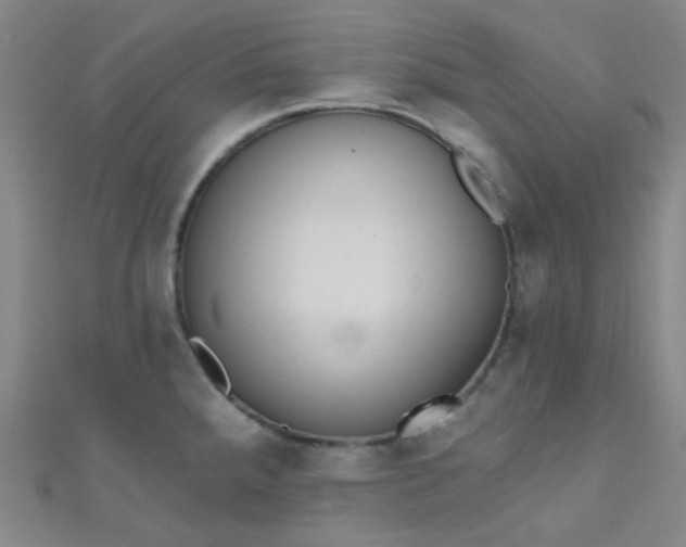 X0000110981288200907022048