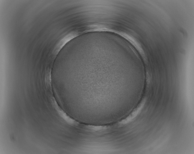 X0000110981289200907022048