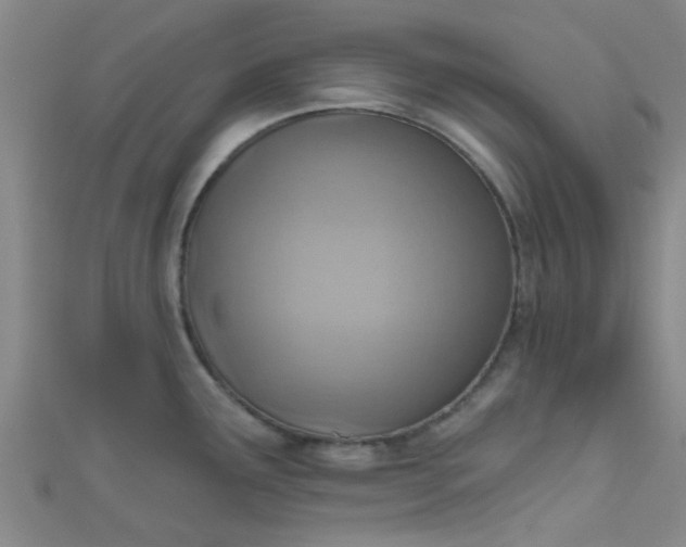 X0000110981291200907022048