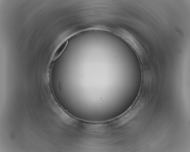 X0000110981292200907022048