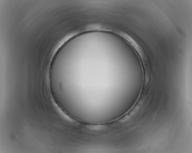 X0000110981293200907022048