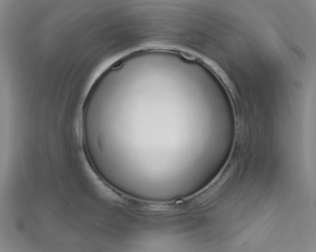 X0000110981295200907022048