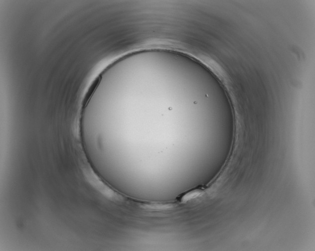 X0000110981296200907022048