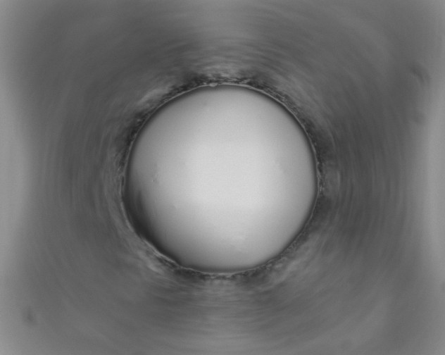 X0000110981297200907022047