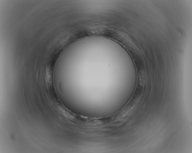 X0000110981298200907022047