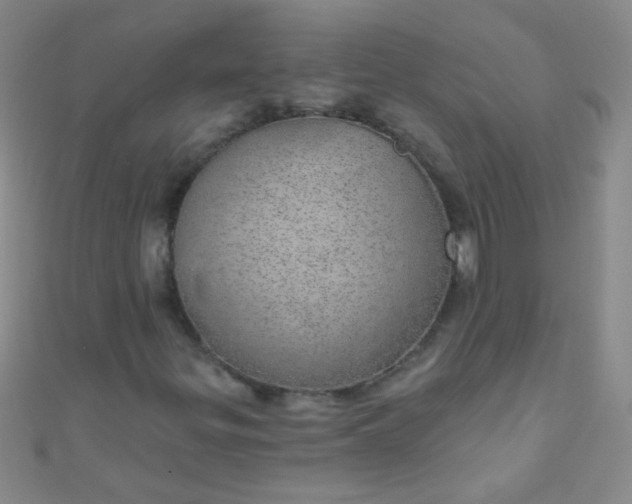 X0000110981299200907022047