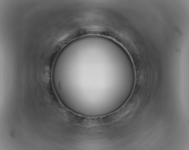 X0000110981301200907022047