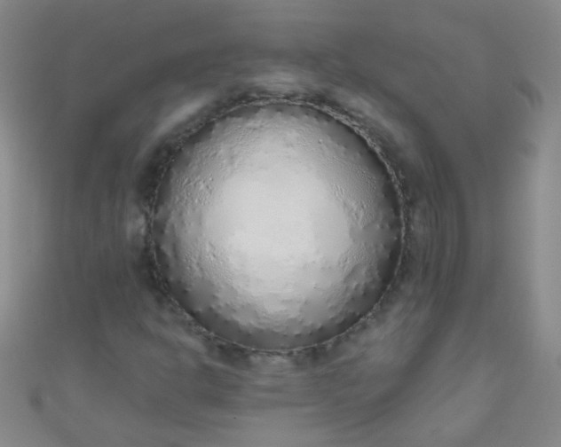 X0000110981302200907022047