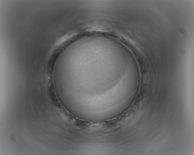 X0000110981303200907022047