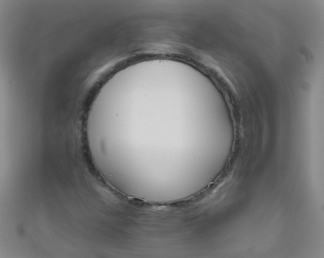 X0000110981304200907022047