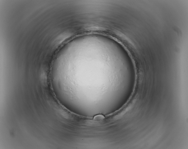 X0000110981305200907022047