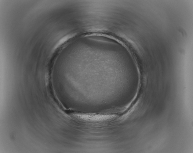 X0000110981306200907022047