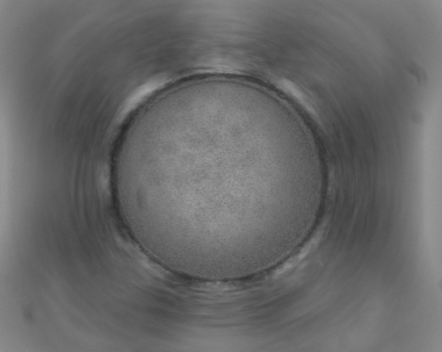 X0000110981307200907022047