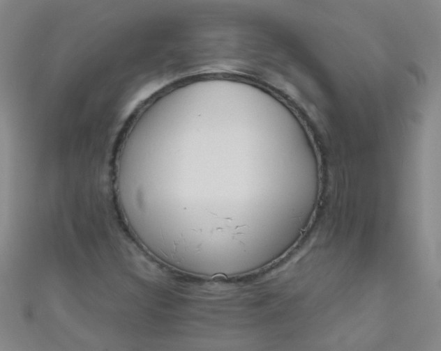 X0000110981308200907022047