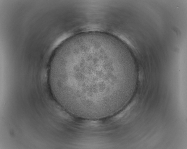 X0000110981309200907022047