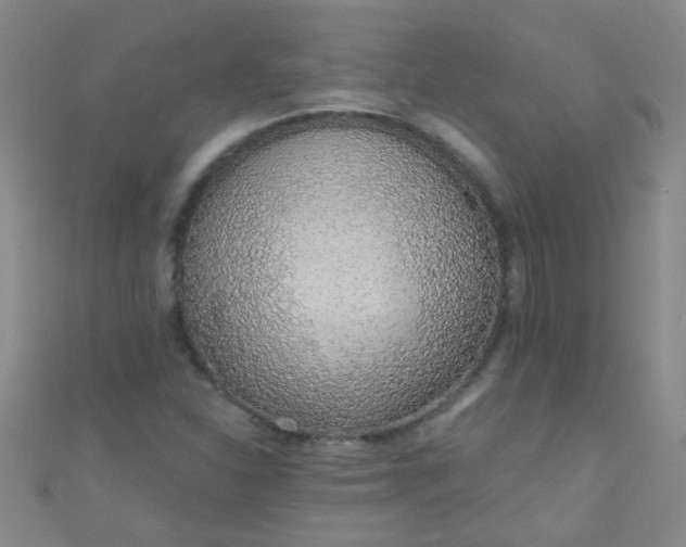 X0000110981310200907022047