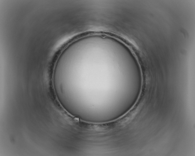 X0000110981311200907022047