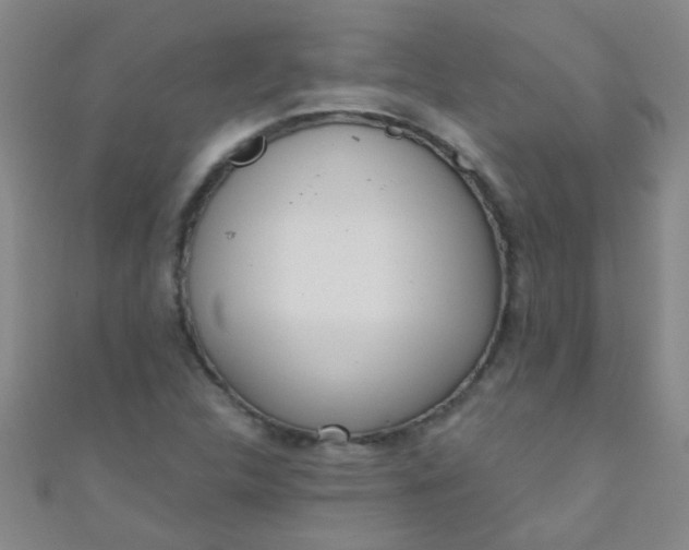 X0000110981312200907022047