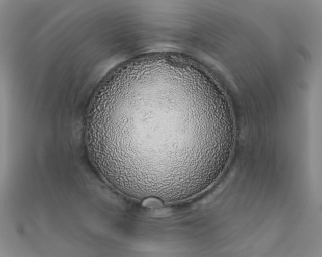 X0000110981313200907022047