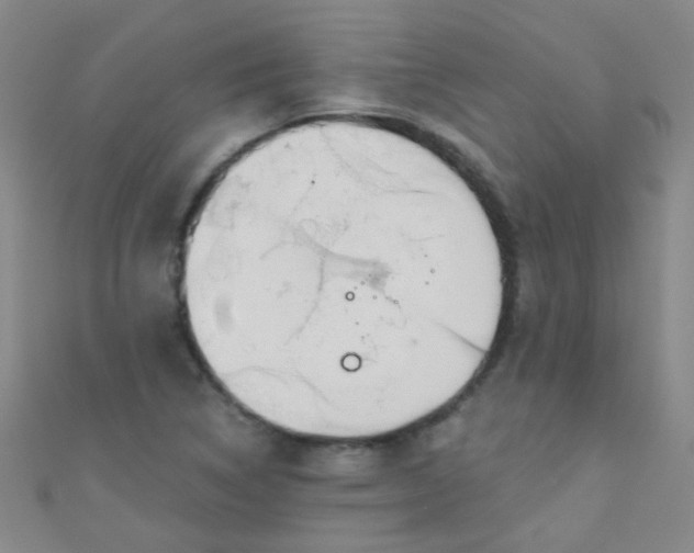 X0000110981314200907022047