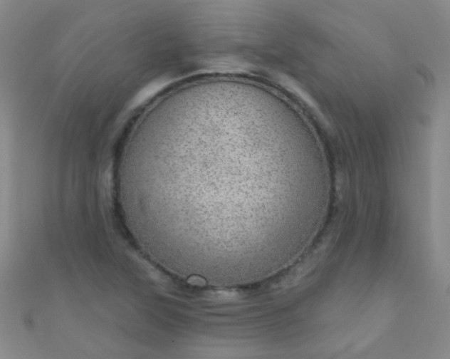 X0000110981315200907022047