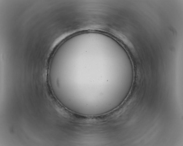 X0000110981316200907022047