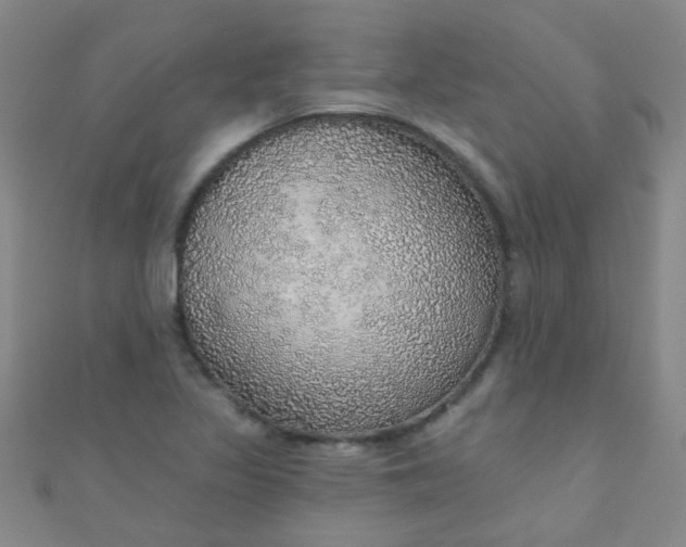 X0000110981317200907022047