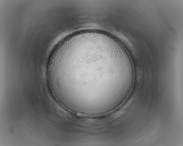 X0000110981318200907022047