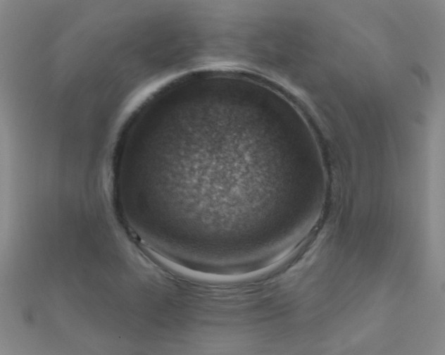 X0000110981319200907022047